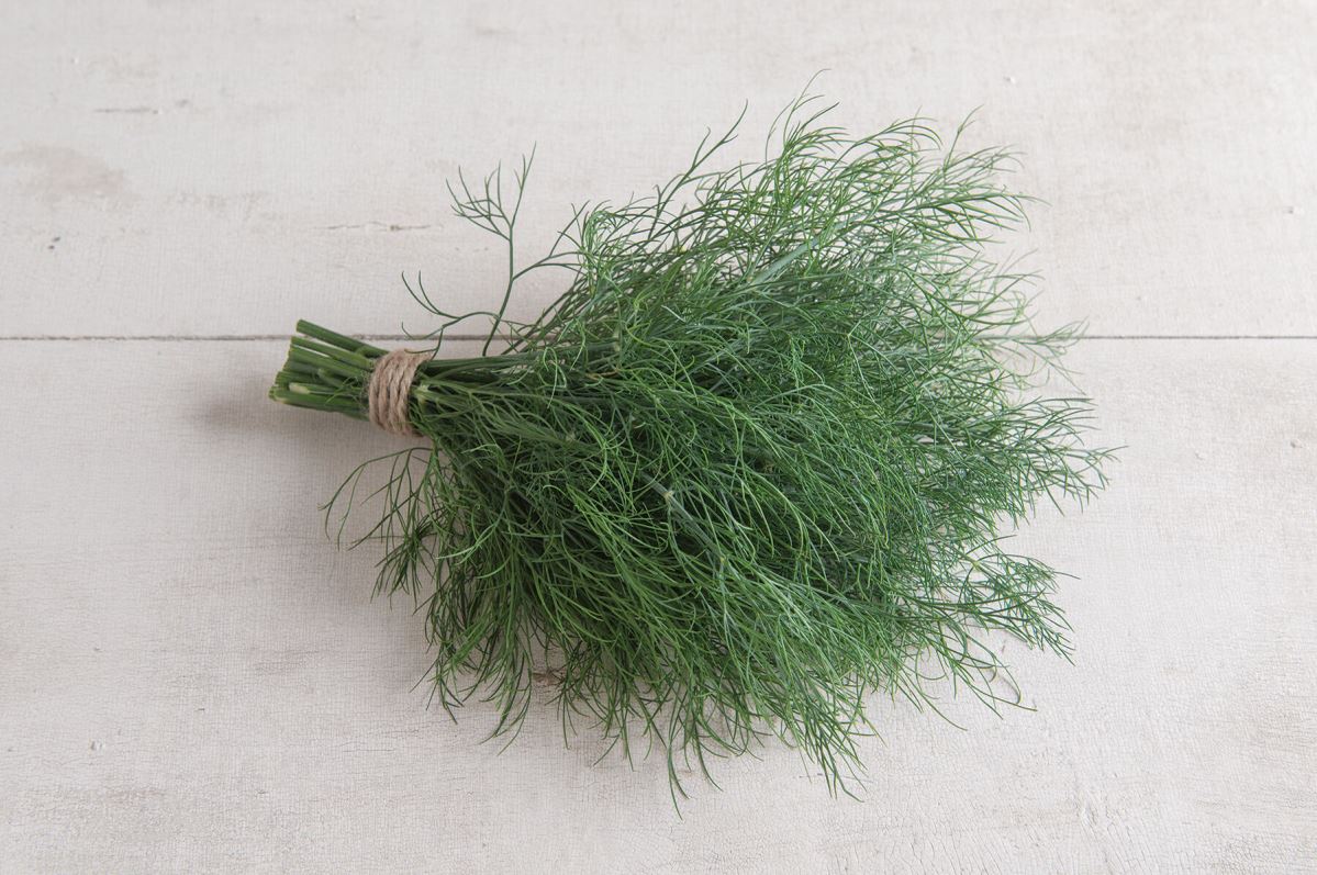 Hera – Dill Seed